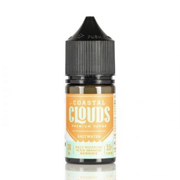 SALTWATER ICED MANGO BERRIES - COASTAL CLOUDS CO. - 30ML