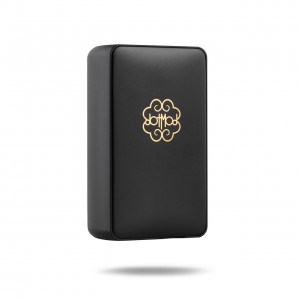 Dotmod Dotbox Dual M...